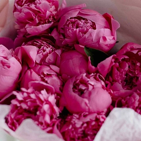 Букет из 11 ярко-розовых пионов Standart Plus в розовой пленке