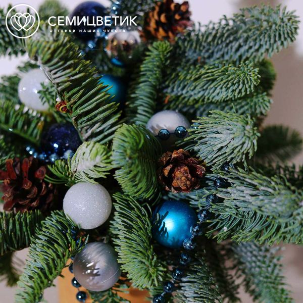 Композиция с елью в синих тонах в стакане