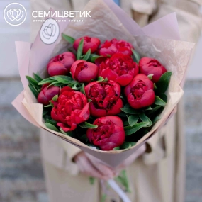 Букет из 11 бордовых пионов Standart в сиреневой пленке