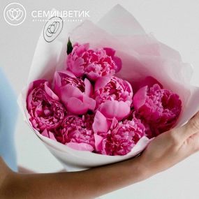 Букет из 7 ярко-розовых пионов Standart Plus в белой пленке