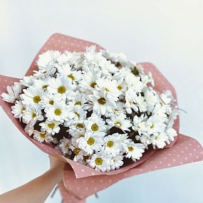 Букет из 15 кустовых хризантем сорта Бакарди