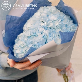 Букет из 3 голубых гортензий в белой пленке