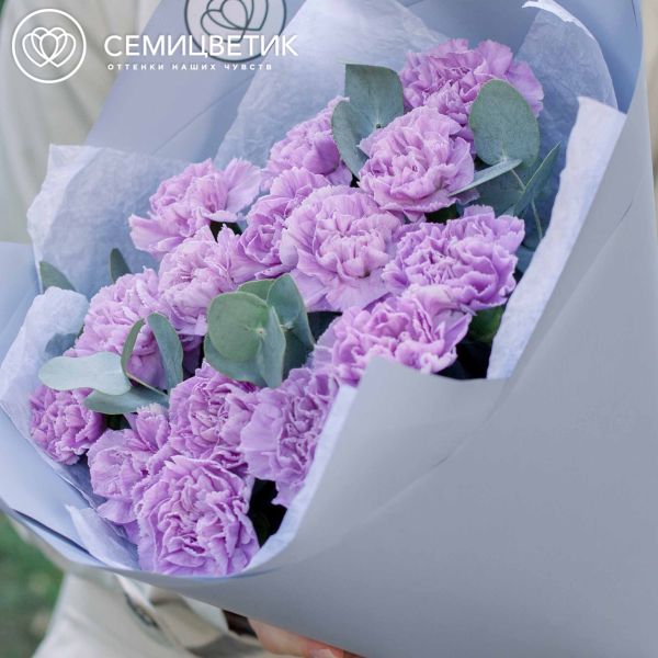 Букет из 15 сиреневых (лунных) гвоздик с эвкалиптом