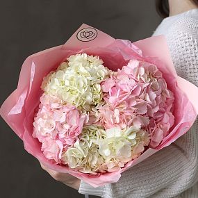 Монобукет  из 5 белых и розовых гортензий