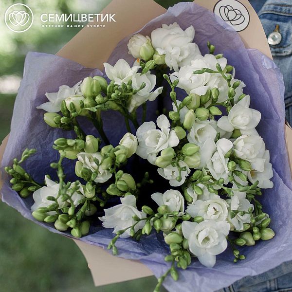 Букет из 25 белых фрезий