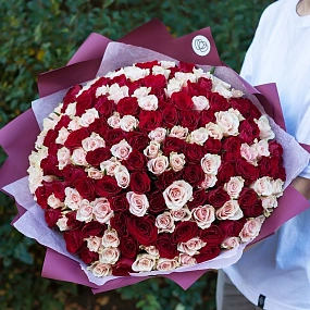 Букет из 151 красной и нежно-розовой розы 40 см (Кения) в бордовой пленке