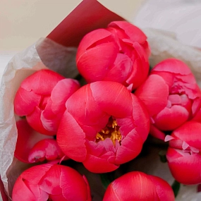 Букет из 7 коралловых пионов Coral Sunset Premium в розовой пленке