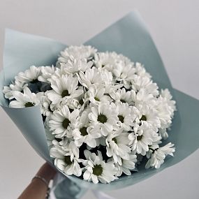 Букет из хризантем кустовых сорта 