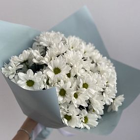 Букет из хризантем кустовых сорта 