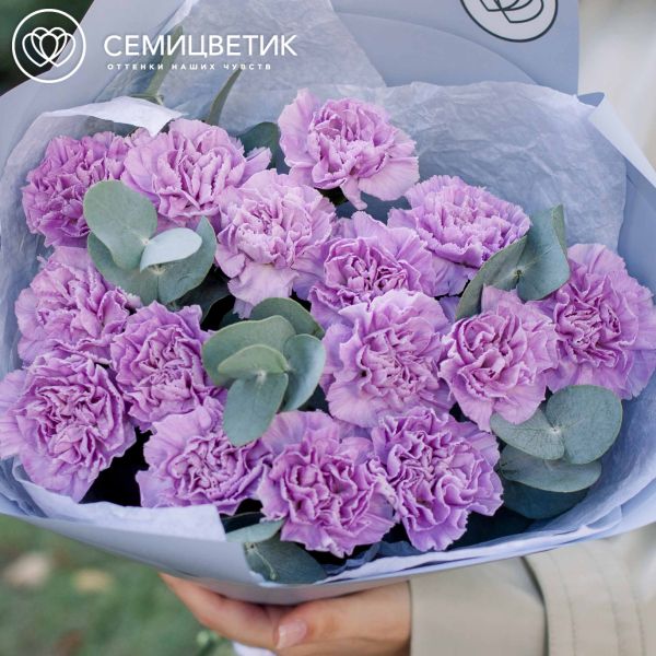 Букет из 15 сиреневых (лунных) гвоздик с эвкалиптом