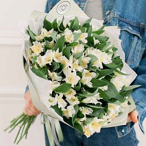Монобукет  из 23 белых альстромерий