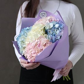 Монобукет  из 5 гортензий нежный микс