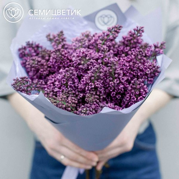 Букет из 15 веток сирени