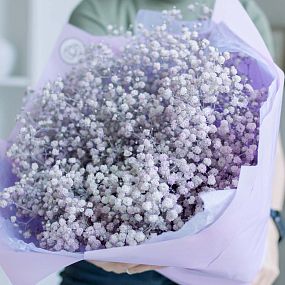 Букет из 15 сиреневых гипсофил