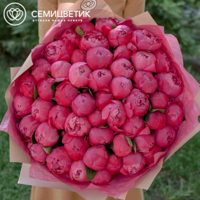 Букет из 51 ярко-розового пиона Premium в розовой пленке