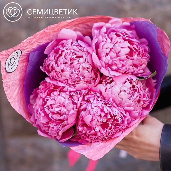 Букет из 5 ярко-розовых пионов Premium
