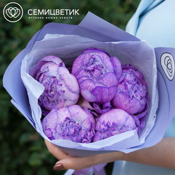 Букет из 5 фиолетовых пионов Premium в сиреневой пленке