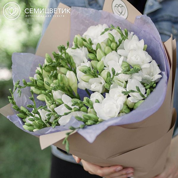 Букет из 25 белых фрезий
