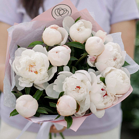 Букет из 11 нежно-розовых пионов Standart в розовой пленке