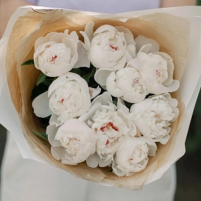 Букет из 9 нежно-розовых пионов Standart в кремовой пленке