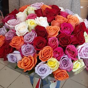 51 Роза Эквадор