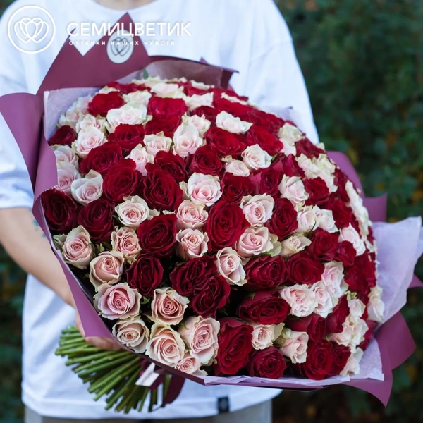 Букет из 151 красной и нежно-розовой розы 40 см (Кения) в бордовой пленке