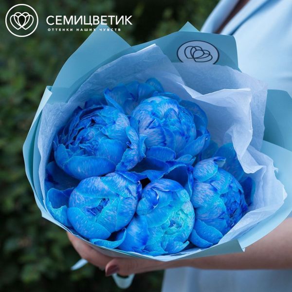 Букет из 5 синих пионов Premium в голубой пленке