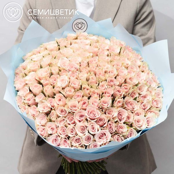 Букет из 151 нежно-розовой розы 40 см (Кения) в голубой пленке