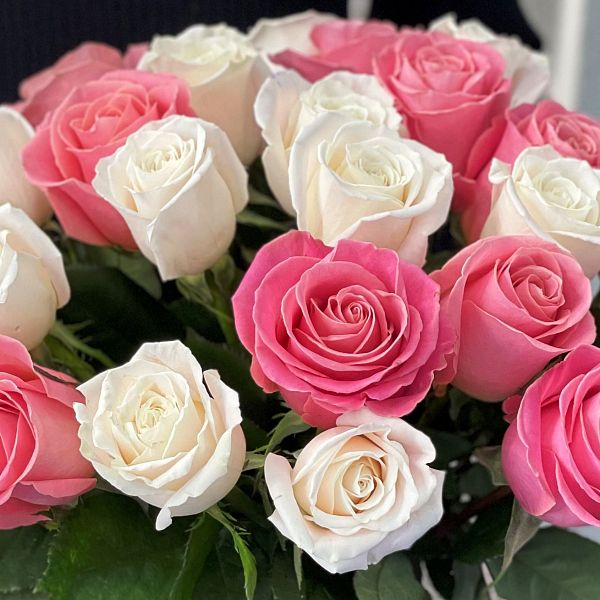 25 Роз Эквадор