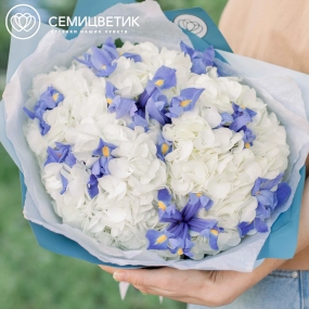 Букет из 3 белых гортензий и 10 синих ирисов в голубой пленке