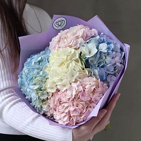 Монобукет  из 5 гортензий нежный микс