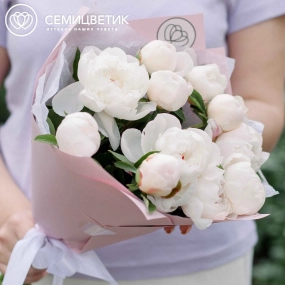 Букет из 11 нежно-розовых пионов Standart в розовой пленке