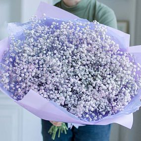 Букет из 15 сиреневых гипсофил