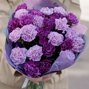 Букет из 25 сиреневых (лунных) и фиолетовых гвоздик в голубой пленке