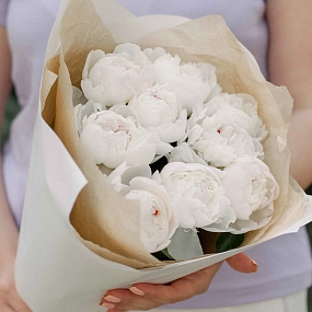 Букет из 9 нежно-розовых пионов Standart в кремовой пленке