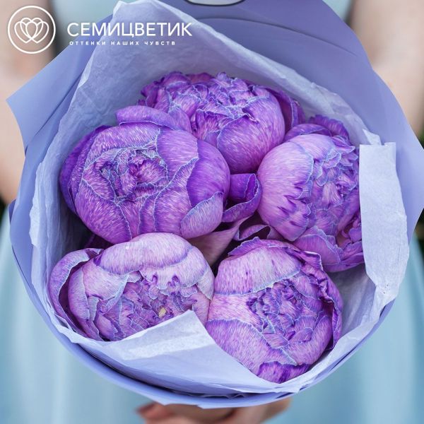 Букет из 5 фиолетовых пионов Premium в сиреневой пленке