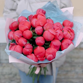 Букет из 25 коралловых пионов Coral Sunset Premium в розовой пленке